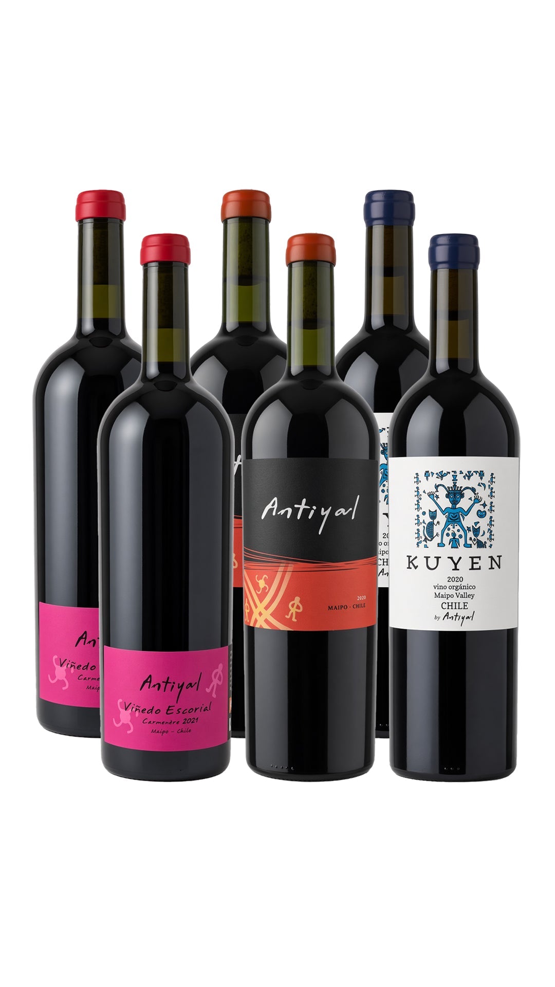 Colección Grandes Vinos x6