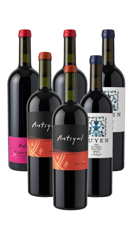 Colección Vinos Pura Fe x6