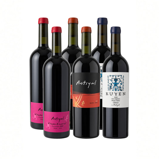 Colección Grandes Vinos x6