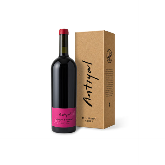 Antiyal Viñedo Escorial Carmenere 2021