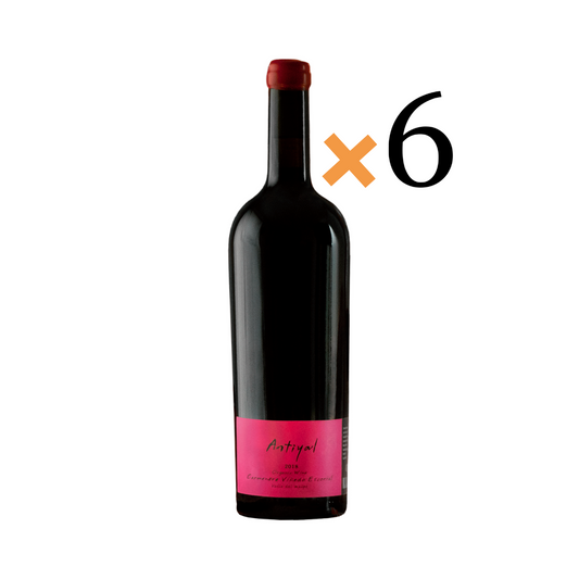 Antiyal Viñedo Escorial 2021 caja 6 botellas