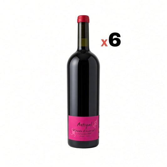 Antiyal Viñedo Escorial 2021 Caja 6 botellas